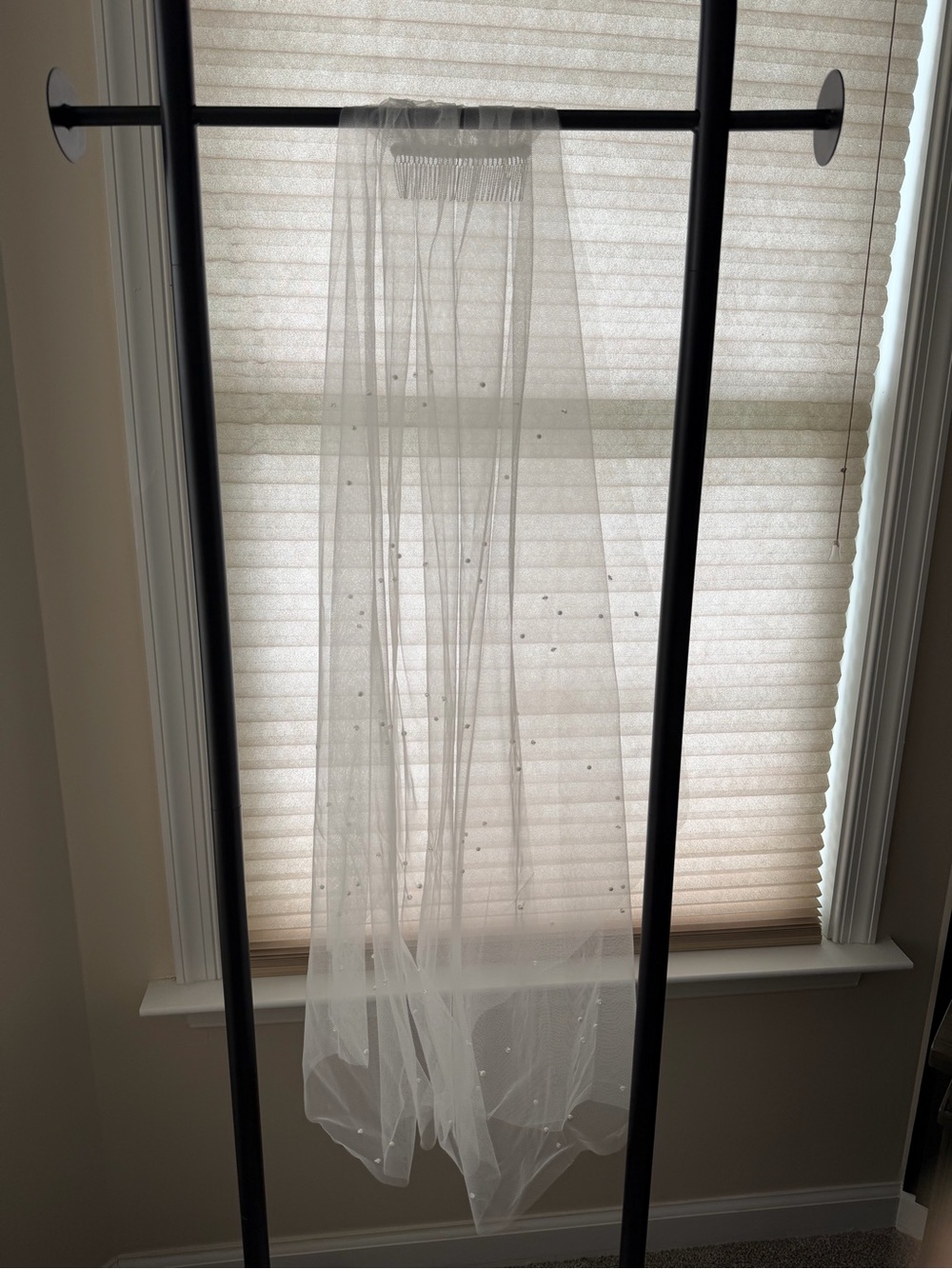 Veil with pearl embellishments